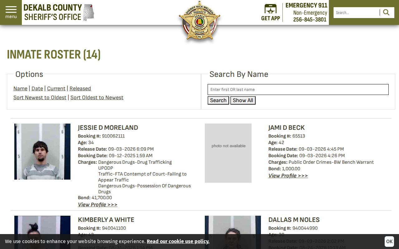 DeKalb County Sheriff official 48-hour release roster interface